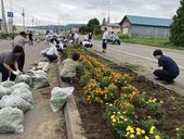 花壇除草作業を実施しました