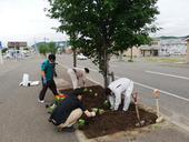 「絆感謝運動」花壇植栽作業の実施